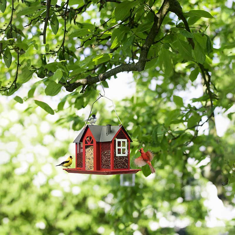 Metal Bird House Feeder with Triple Feeders