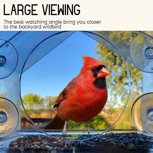 🐦 Window Bird Feeder for Outside
