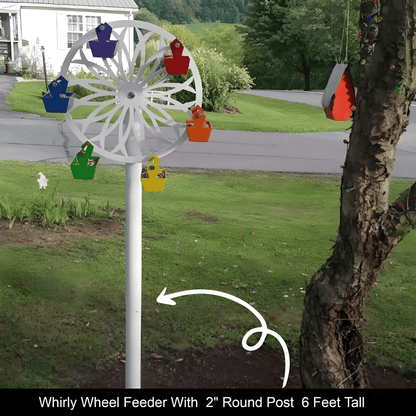 The Ferris Wheel of Fun for Your Feathered Friends